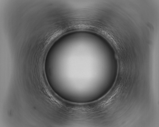 X0000112350625200908131429