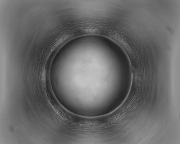 X0000112350626200908131429