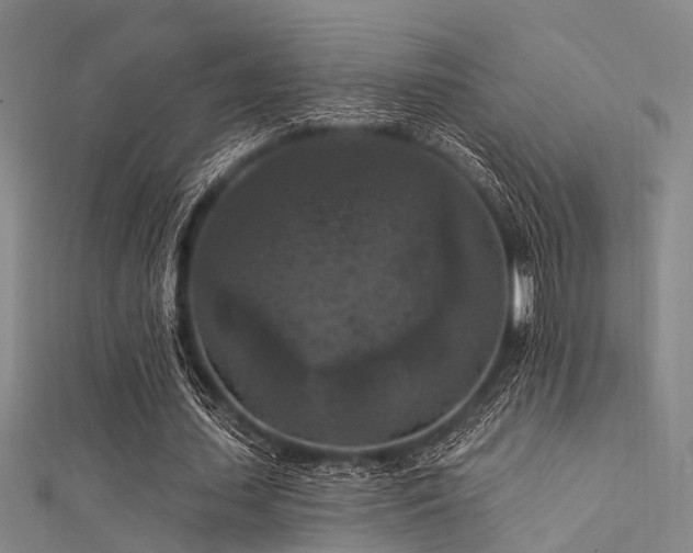 X0000112350627200908131429