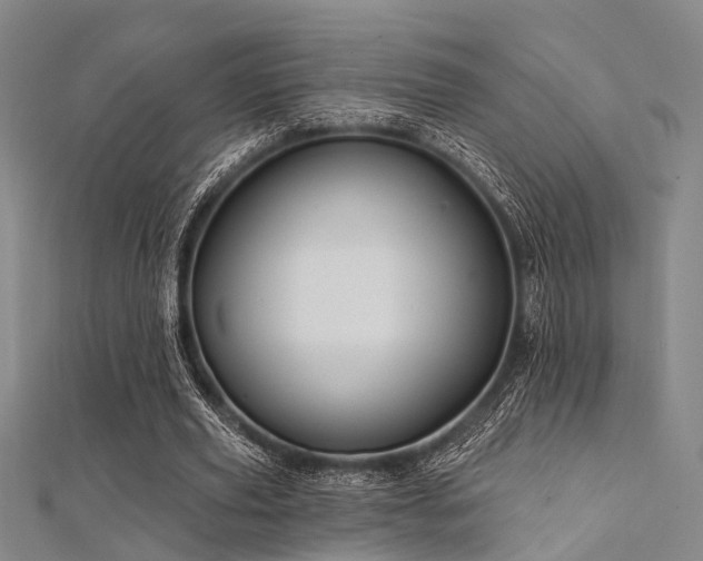 X0000112350629200908131429