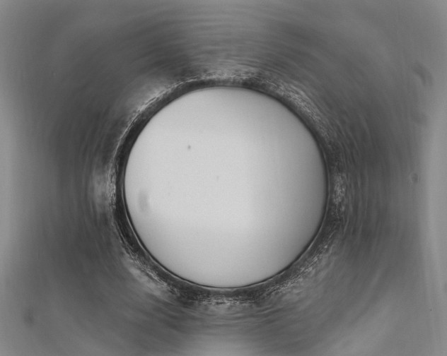 X0000112350632200908131429