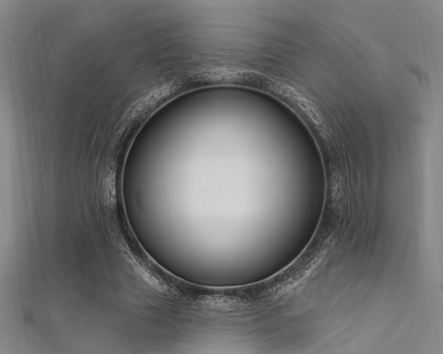 X0000112350633200908131429
