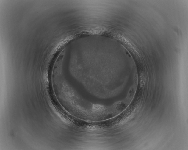 X0000112350634200908131429