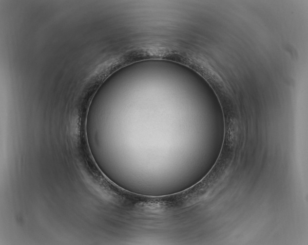 X0000112350639200908131429