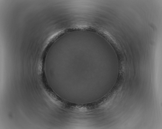 X0000112350640200908131429
