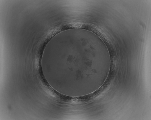 X0000112350641200908131429