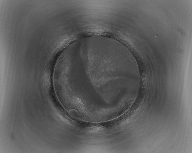 X0000112350642200908131429