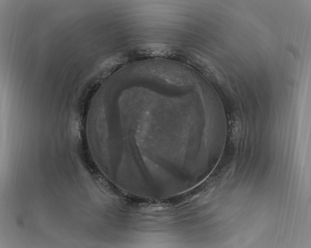 X0000112350643200908131429