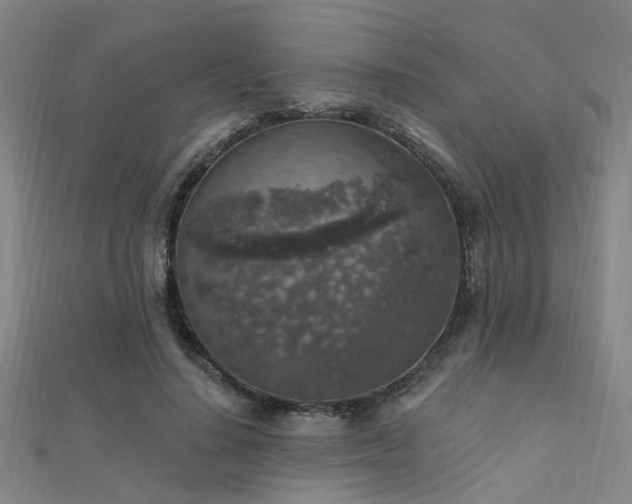 X0000112350644200908131429