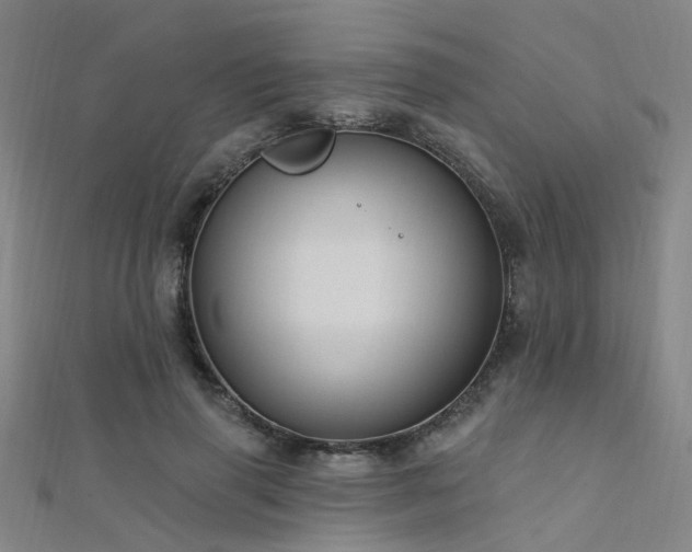 X0000112350645200908131429