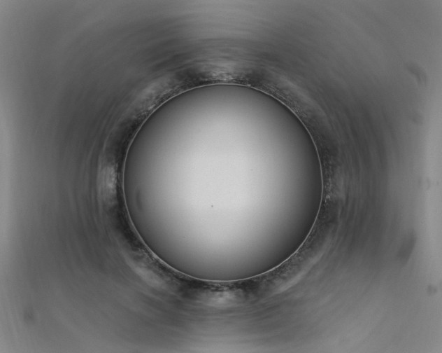 X0000112350646200908131429