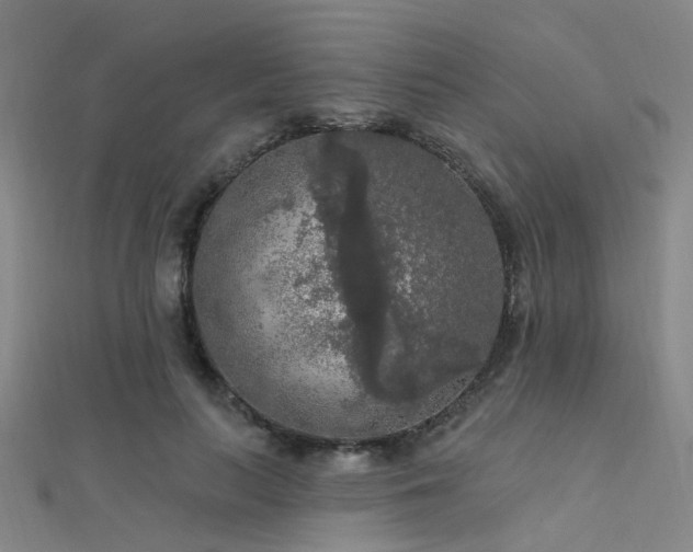 X0000112350647200908131429