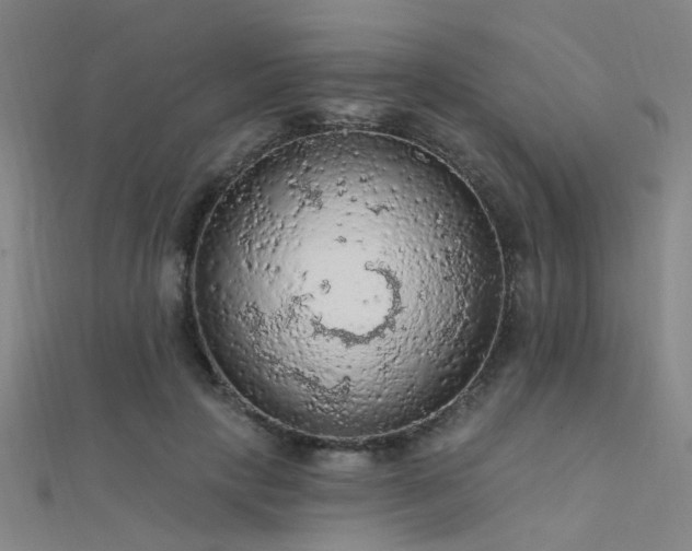 X0000112350649200908131429