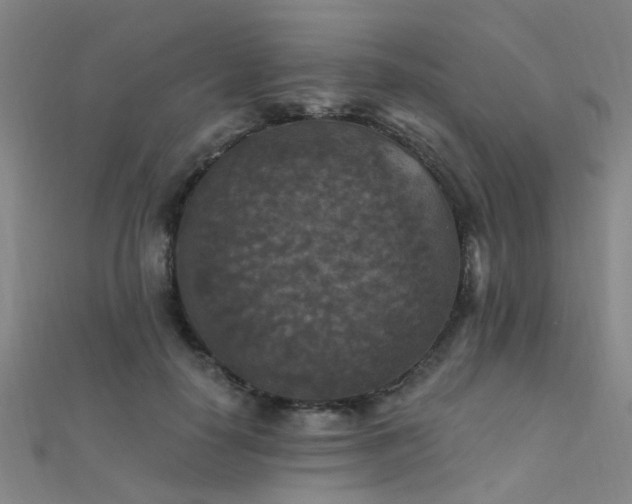 X0000112350650200908131429