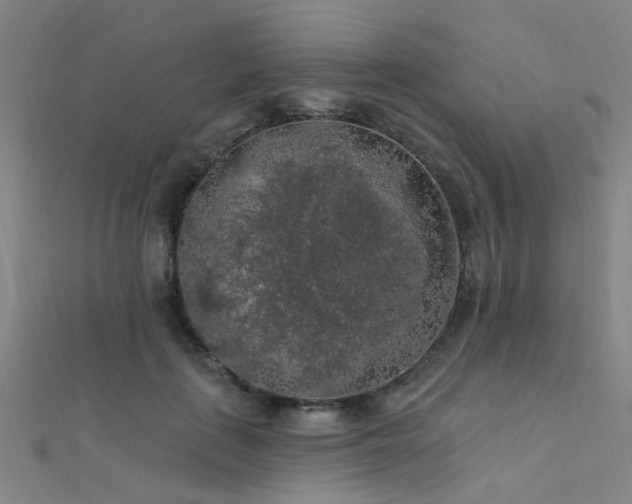 X0000112350651200908131429