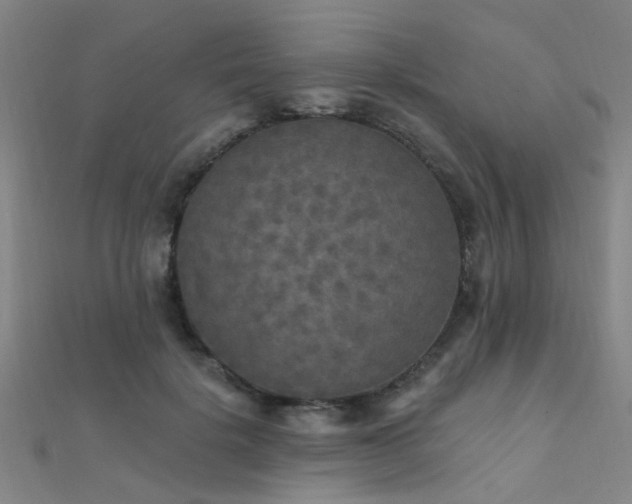 X0000112350652200908131429
