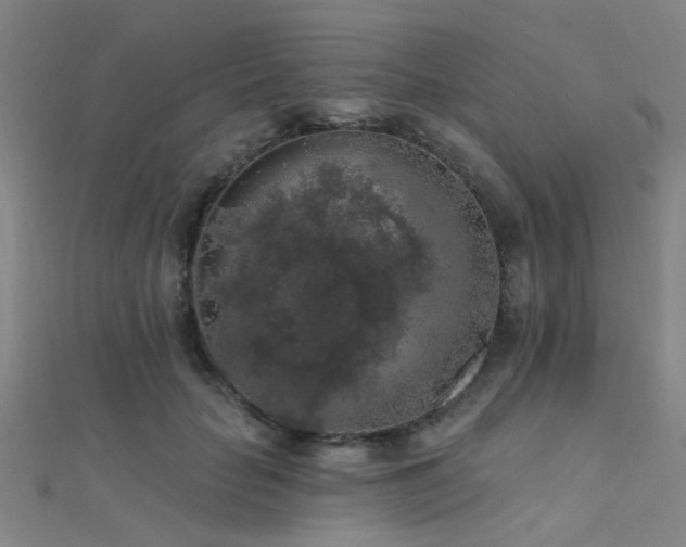 X0000112350653200908131429