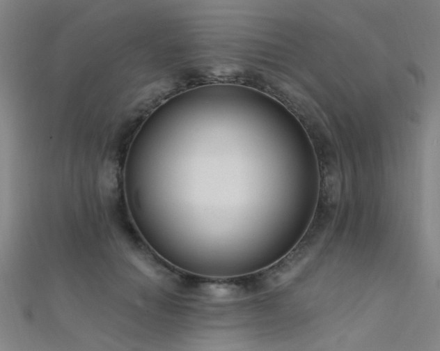 X0000112350654200908131429