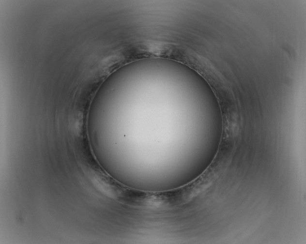 X0000112350656200908131429