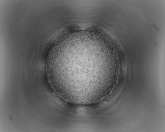X0000112350657200908131429
