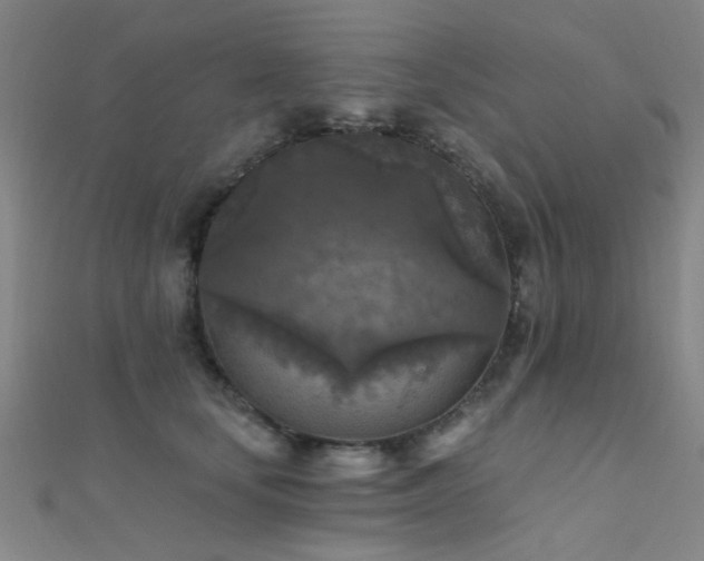 X0000112350659200908131429