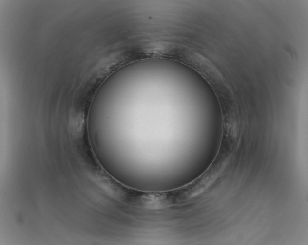 X0000112350660200908131429