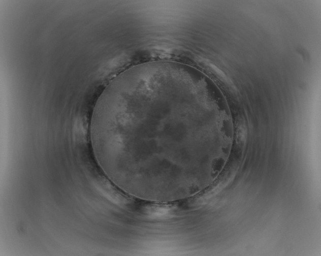 X0000112350661200908131429