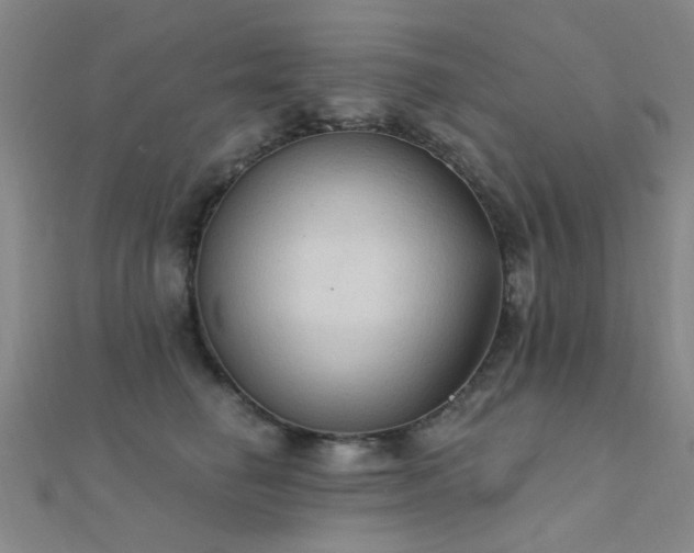 X0000112350662200908131429