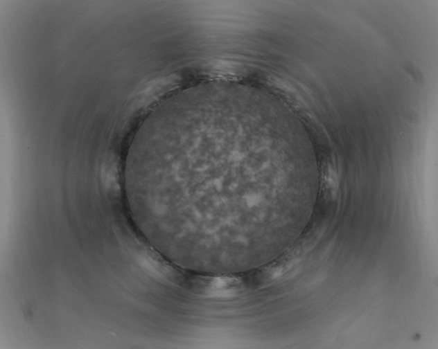 X0000112350663200908131429