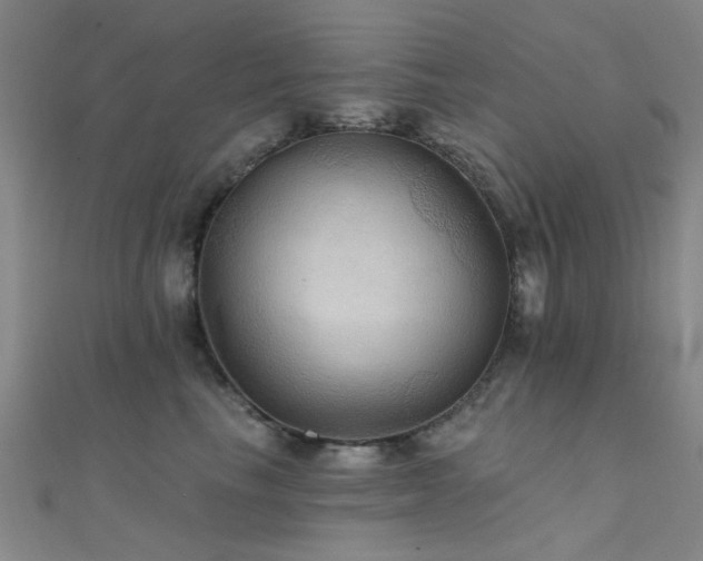 X0000112350665200908131429