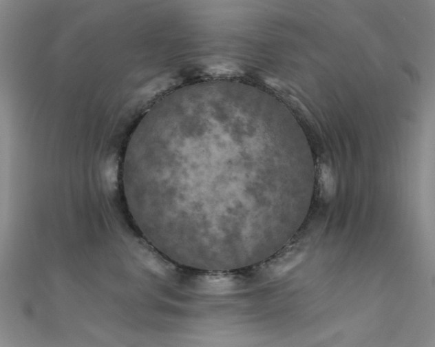 X0000112350668200908131429