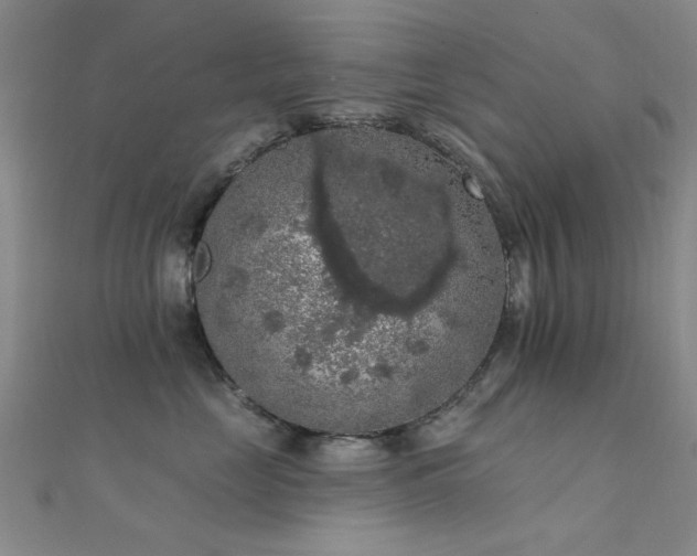 X0000112350669200908131429