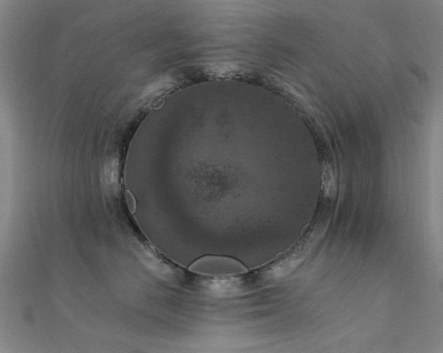 X0000112350670200908131429