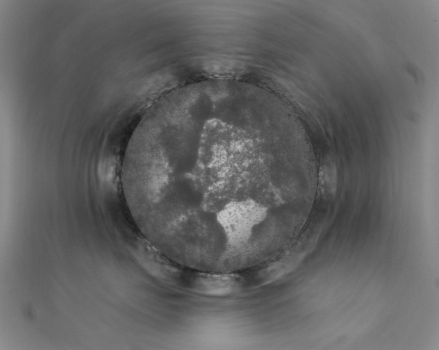 X0000112350671200908131429
