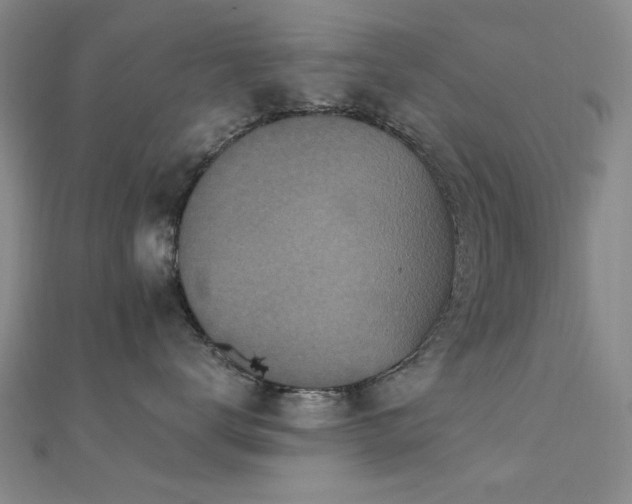 X0000112350672200908131429