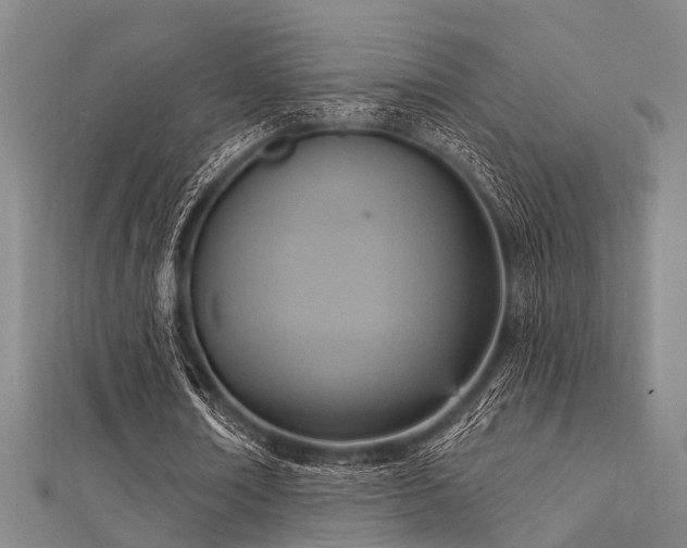 X0000112350674200908131429