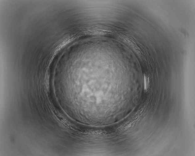 X0000112350675200908131429