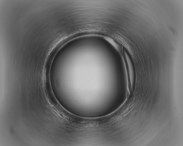 X0000112350676200908131429
