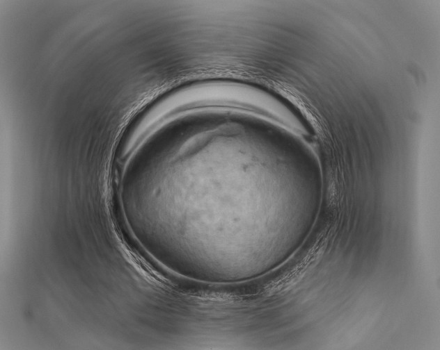 X0000112350677200908131429