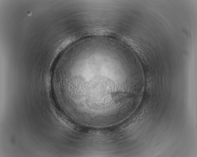 X0000112350679200908131429