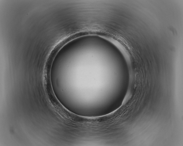 X0000112350680200908131429