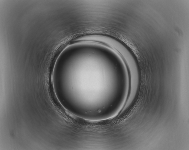 X0000112350681200908131429
