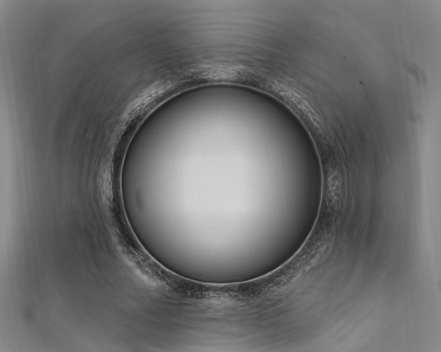 X0000112350682200908131429
