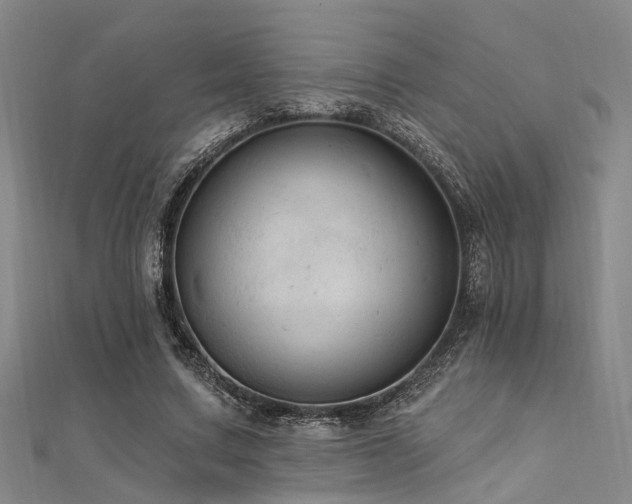 X0000112350683200908131429