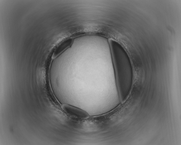 X0000112350684200908131429