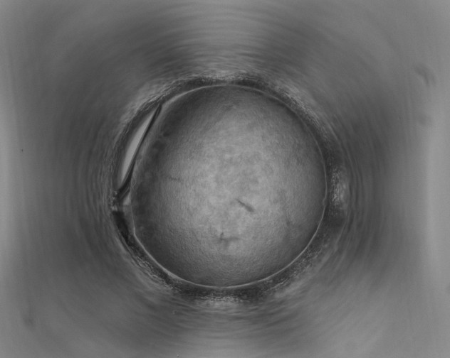 X0000112350685200908131429