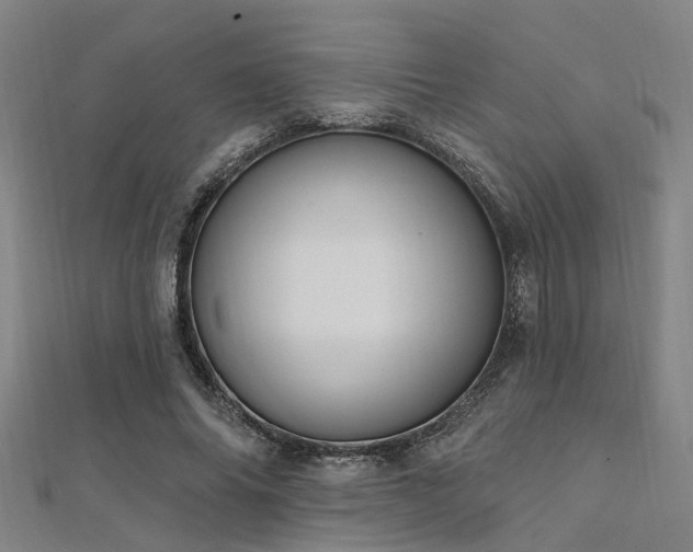 X0000112350686200908131429