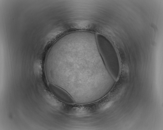 X0000112350688200908131429