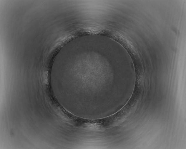 X0000112350689200908131429