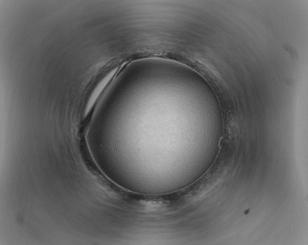 X0000112350693200908131429